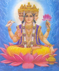 Brahma