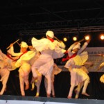 Maher Chaya Dandia Raas Group perfoming in Argentina