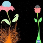 Snehal Odedra – 'UDAYAN' – The Rising Sun